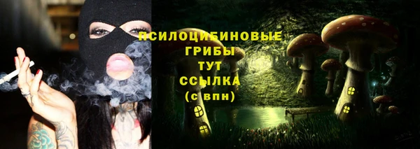 твердый Саяногорск