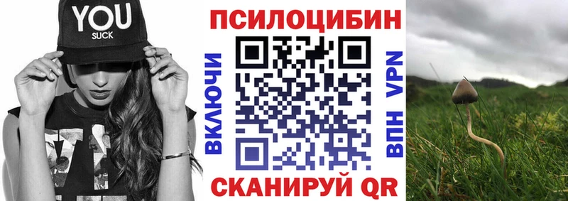 Галлюциногенные грибы MAGIC MUSHROOMS  Судогда 